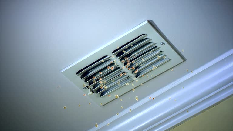 Best Professional Duct Cleaning Services  in Winsted, MN