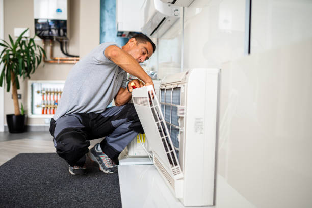 Best Dryer Vent Cleaning Services  in Winsted, MN