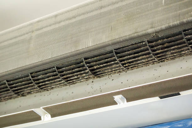 Best Commercial Air Duct Cleaning  in Winsted, MN