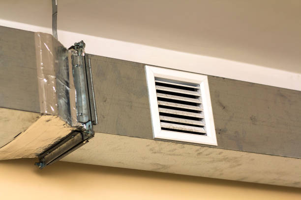 Best Air Duct Mold Removal  in Winsted, MN